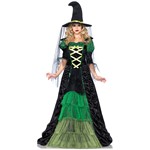 Womens Storybook Witch Dress Costume