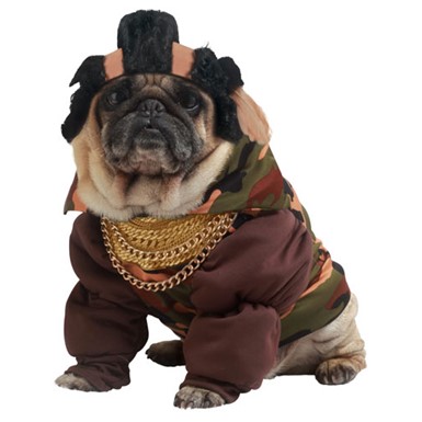 Pity The Fool Pet Mr. T Dog Halloween Costume