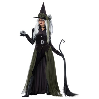 Womens Gothic Witch Halloween Costume