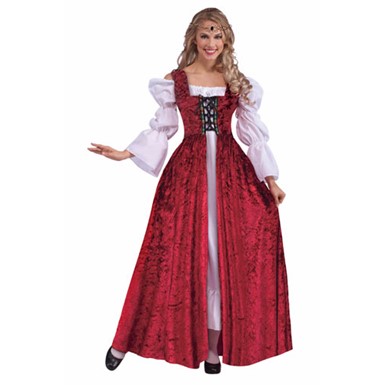 Womens Medieval Lady Halloween Costume Size Standard