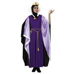 Disney Evil Queen Deluxe Standard Size Costume 12-14