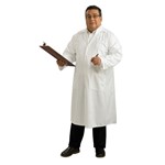 Adult Hospital Honey Nurse Costume - Plus Size