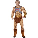 Mens He-Man Masters of the Universe Adult Costume