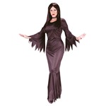 Morticia Addams Family Womens Halloween Costume