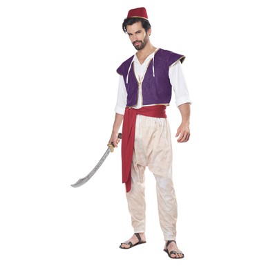 Adult Arabian Folk Hero Aladdin Disney Costume