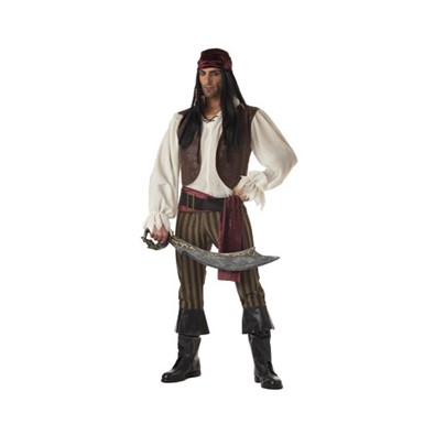 Adult Rogue Pirate Halloween Costume
