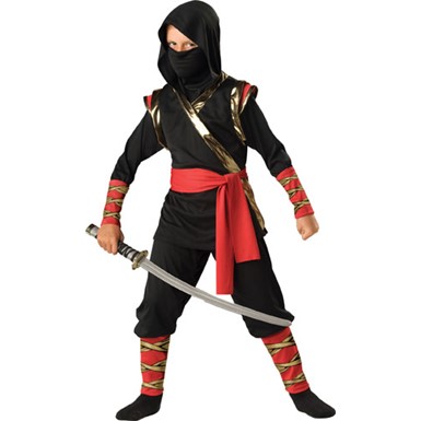 Boys Master Ninja Martial Arts Halloween Costume