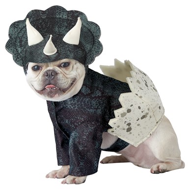 Dino Pup Triceratops Dog Halloween Costume
