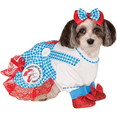 Dorothy from Wizard of Oz Halloween Pet Costume