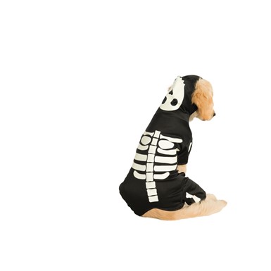 Pet Dog Glowing Skeleton Halloween Puppy Costume