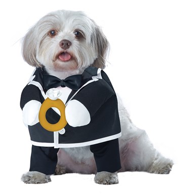 Puppy Love the Groom Halloween Pet Costume