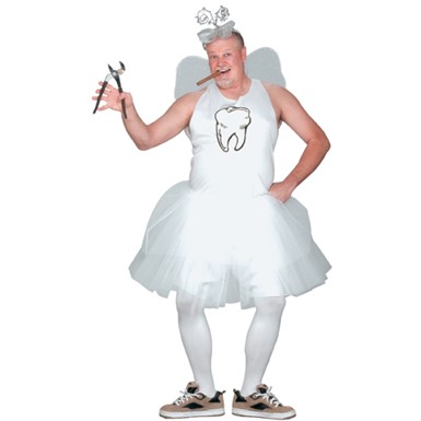 Tooth Fairy Men's Plus Size Adult Halloween Costume