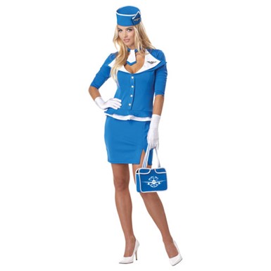 Womens 60's Stewardess Adult Halloween Costume